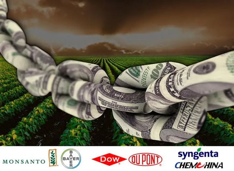 Crece la ola de megafusiones en los agronegocios y anticipan importantes cambios para la Argentina