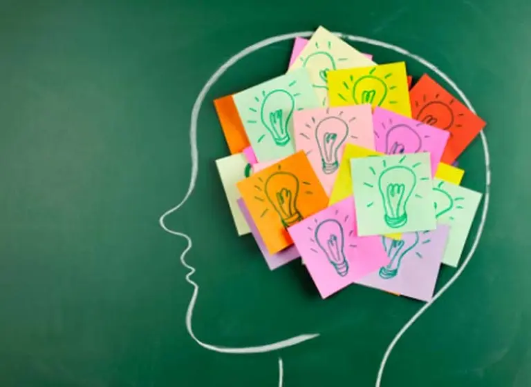 ¿Qué ocurre en el cerebro cuando se toma una decisión?