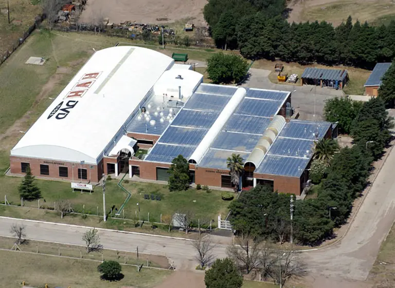 ¿Cómo evitó AVH el sí­ndrome "BlockBuster" para sobrevivir a los cambios tecnológicos?