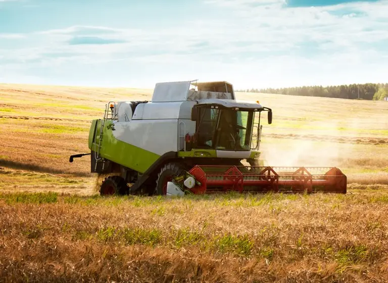 Agrodólares: el campo aceleró la liquidación de divisas, pero está por debajo de las previsiones