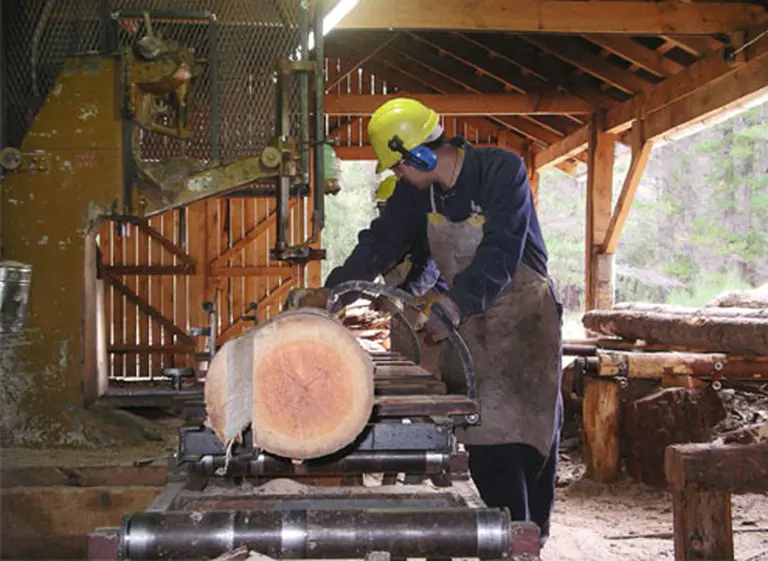 Invertirán u$s42,5 millones en Corrientes para generar energí­a con residuos madereros