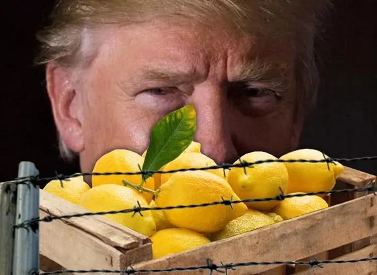 Empresarios argentinos creen que la "crisis del limón" es sólo la punta del iceberg de lo que se viene con Trump