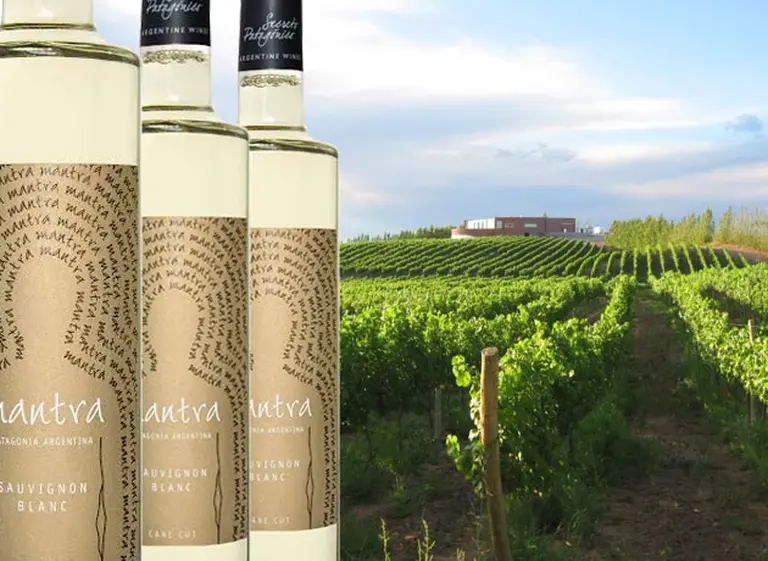 Desde la Patagonia, una bodega presenta un novedoso Sauvignon Blanc dulce