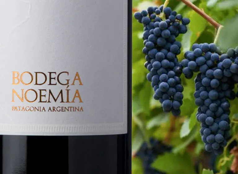 Bodega Noemí­a y el secreto de sus grandes vinos con el sello de la Patagonia