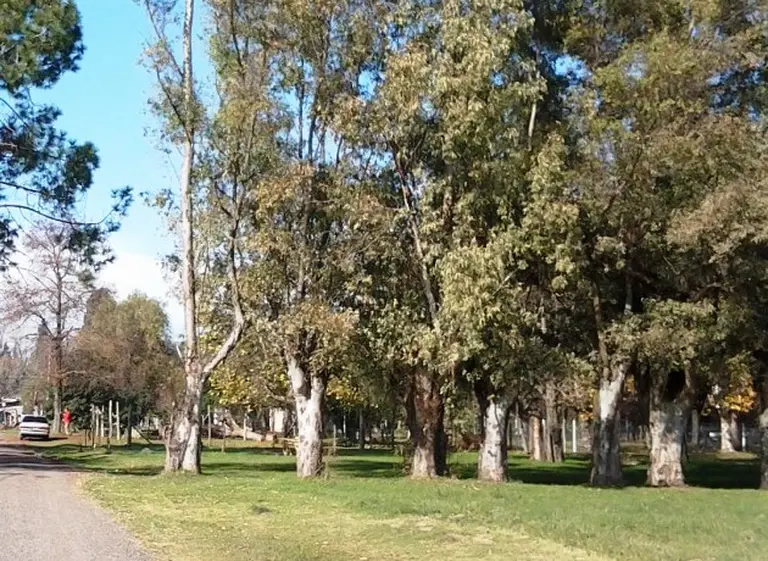 Bullrich Day: Inmobiliarias, como las automotrices, lanzan promociones especiales por un dí­a