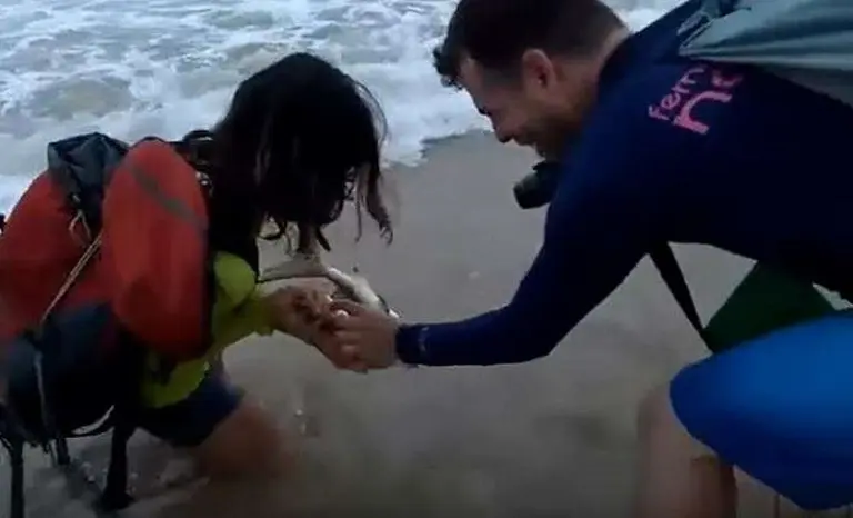 Una mujer fue atacada por un tiburón al intentar sacarse una selfie