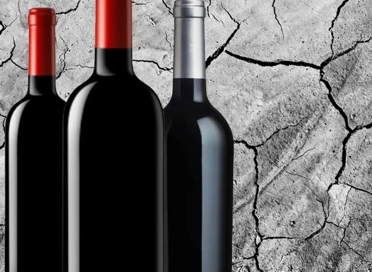 Todo lo que tenés que saber sobre suelos calcáreos y vinos, explicado por un gran referente