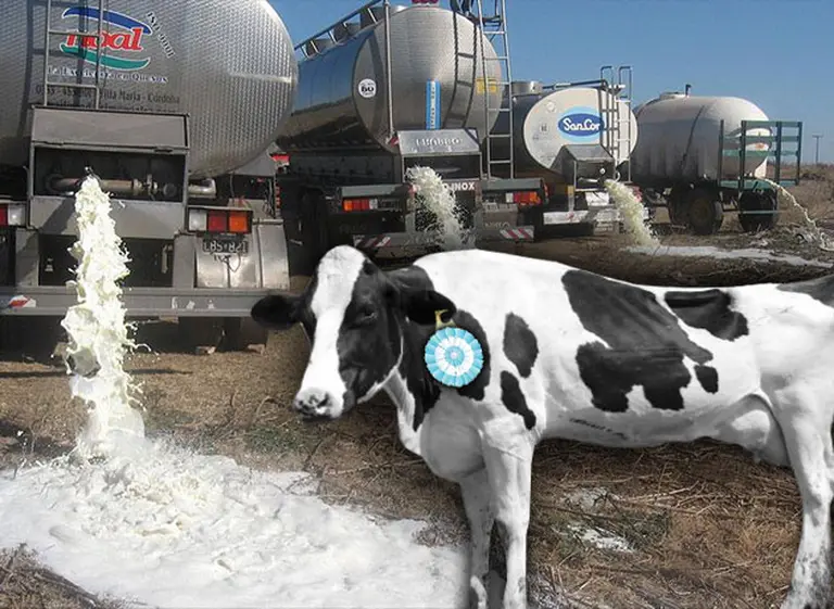 La industria láctea, en crisis: si no afronta una dura reconversión, la Argentina va camino a importar leche