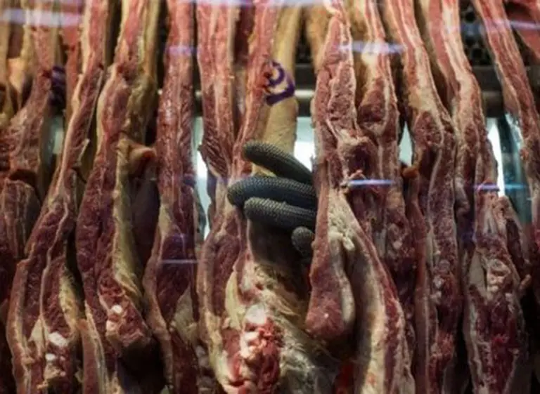 AFIP detectó frigorí­fico que utilizaba la figura de cooperativa para evadir cargas sociales