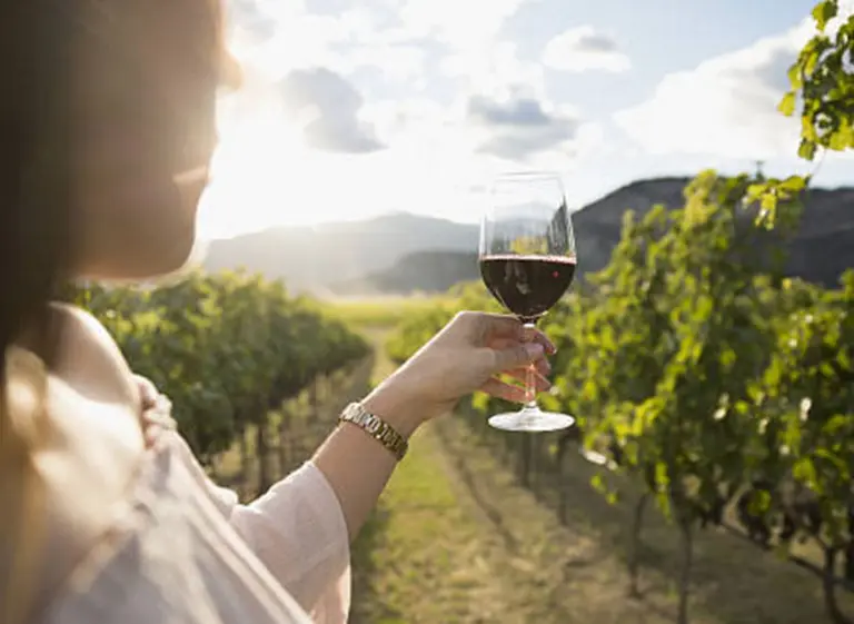 Enoturismo: 15 bodegas para vivir a pleno la experiencia del vino en Semana Santa