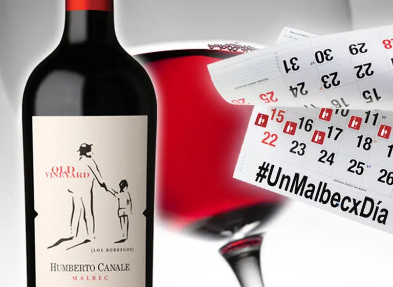 Ciclo "Un Malbec por dí­a": hoy, Humberto Canale Old Vineyard, pura elegancia patagónica