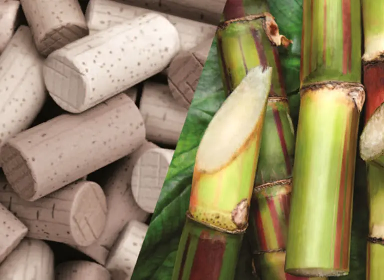 Este año, 130 millones de botellas de vino argentino usarán tapones derivados de la caña de azúcar