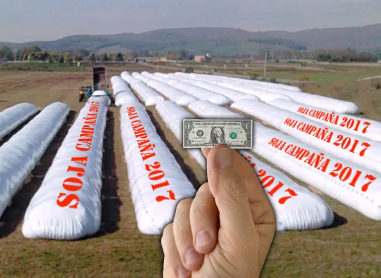 Ahora, los silobolsas son oficialistas: sojeros "encanutan"  y así­ ayudan a no hundir más al dólar