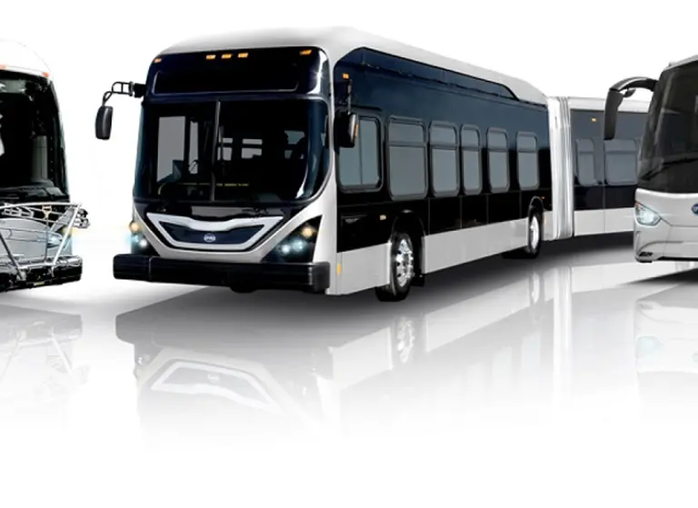 Empresa china de autos eléctricos fue autorizada por decreto para fabricar en la Argentina