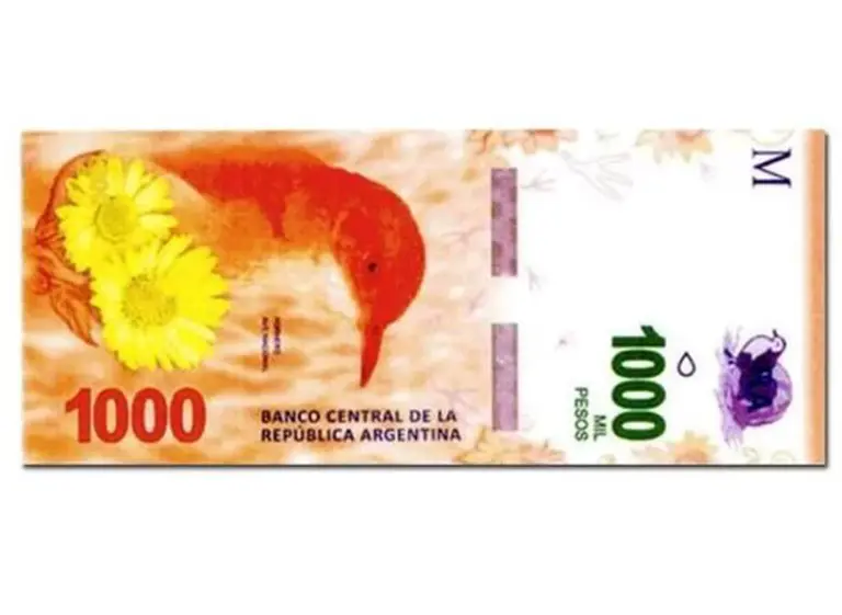 El billete de $1.000 con la figura del hornero estará en la calle en octubre