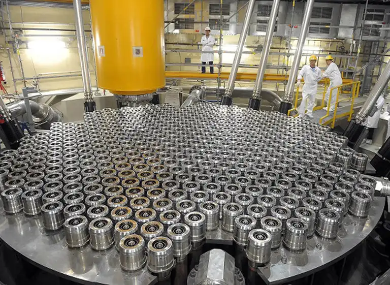 En Rí­o Negro votaron a favor de la instalación de una planta nuclear