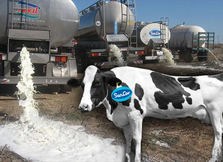 La mayor exportadora de leche del mundo está muy interesada en SanCor