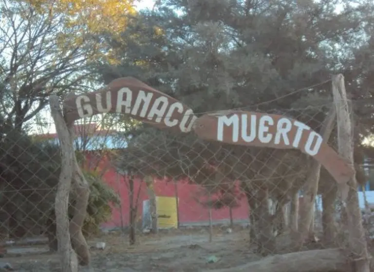 Cómo es Guanaco Muerto, el pueblo que tiene más pensiones por invalidez que habitantes