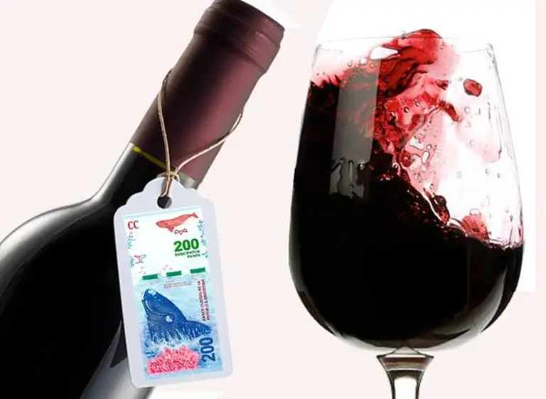 Ricos, buenos y baratos: siete Malbec que no fallan y por menos de $200