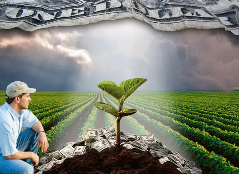 Para expertos, regresa el "viento de cola" y es momento de volver a apostar por Argentina