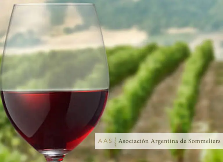 Cinco terroirs de la Argentina que todo apasionado del vino debe conocer