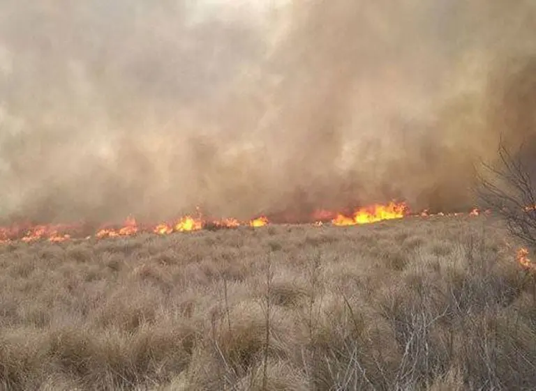 Incendiaron puesto de una estancia de Benetton en Chubut