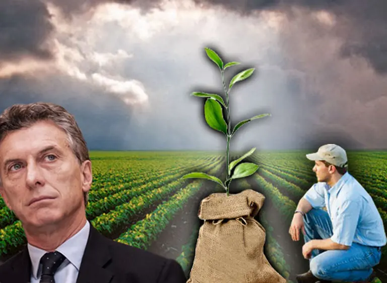 Por la apreciación cambiaria, la rentabilidad del campo cayó 40%