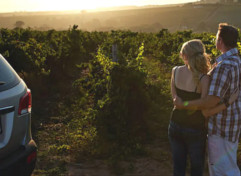 El Alto Valle de Rí­o Negro tiene su ruta del vino: nueve bodegas que vale la pena descubrir