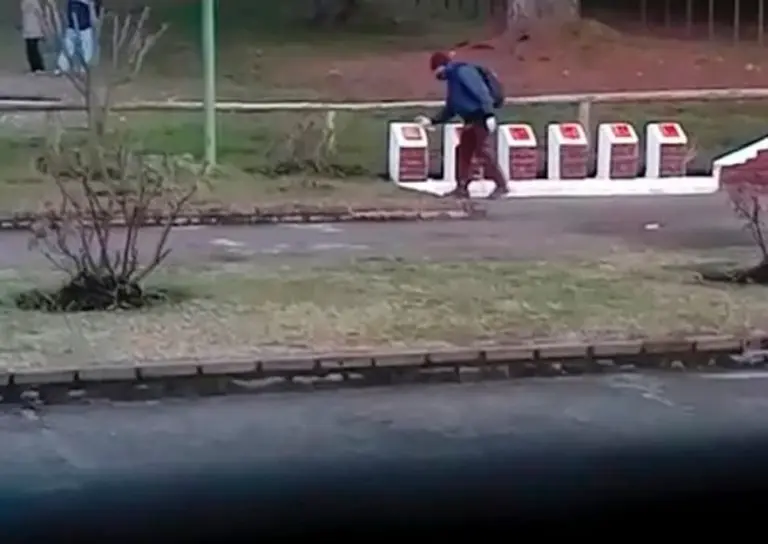 Grupos pro mapuches quemaron bandera argentina y pintaron placas de soldados de Malvinas
