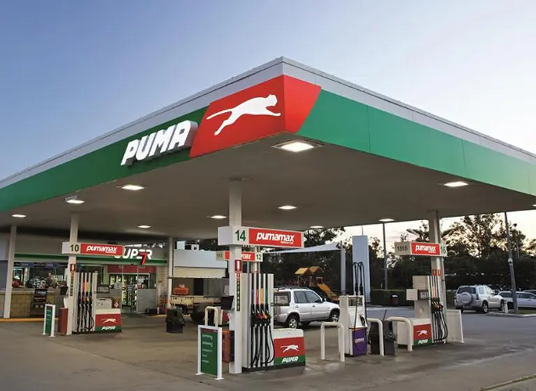 Siguen los movimientos en el mercado de naftas: Puma Energy toma el control de Petrobras