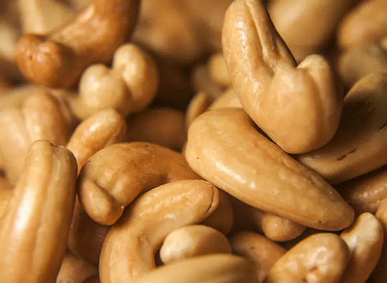 Qué es la nuez de la India, el "remedio milagroso" para la obesidad que mató a una mendocina de 33 años