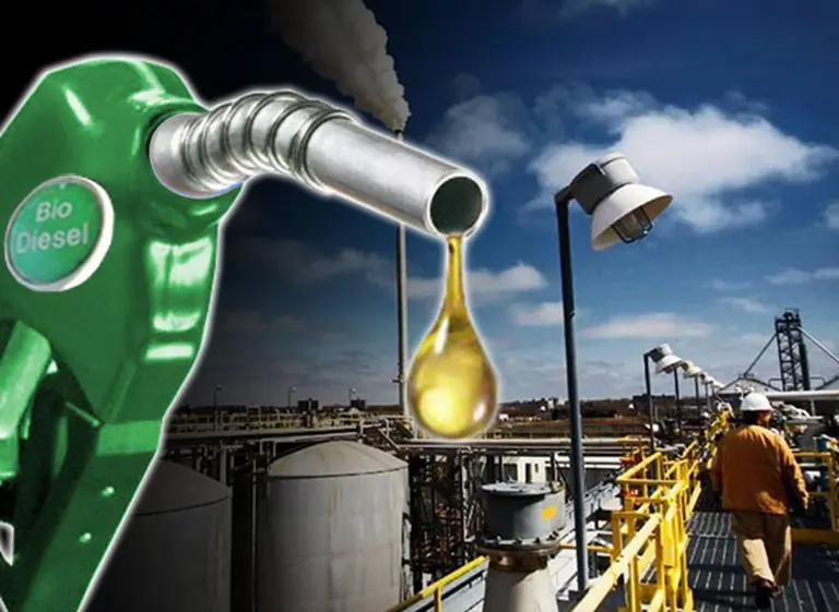 Exportaciones de biodiésel a Europa compensarí­an el cierre de EE.UU.