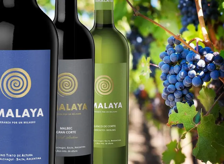 Cinco vinos de Bodega Amalaya que resumen el espí­ritu del Valle de Cafayate