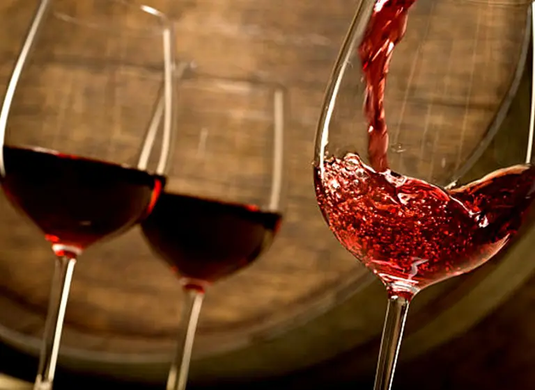 Bodegas de Salta mostraron las particularidades del terroir de altura en Buenos Aires