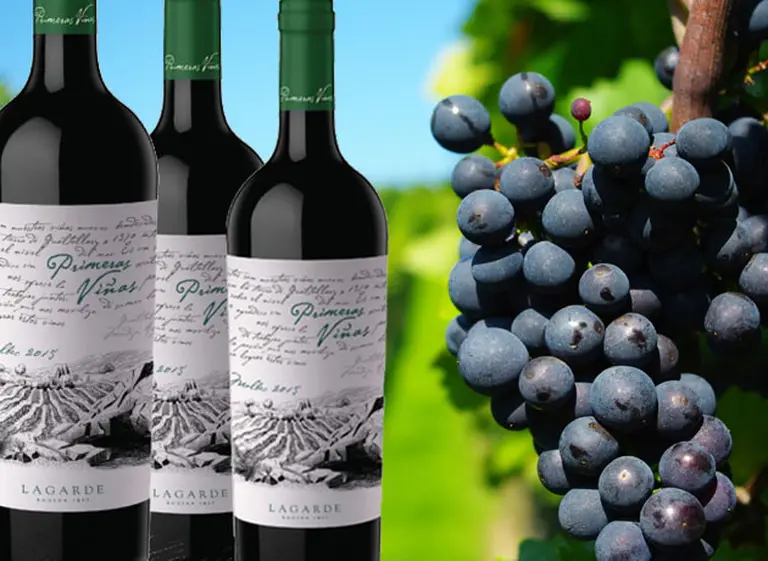 Llega un nuevo Malbec con el "ADN" de Gualtallary, de la mano de Bodega Lagarde