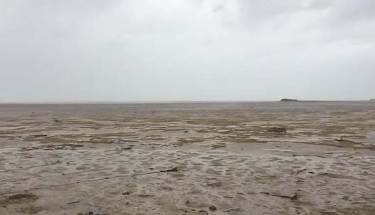 Video: el mar desapareció en Bahamas tras el paso de Irma