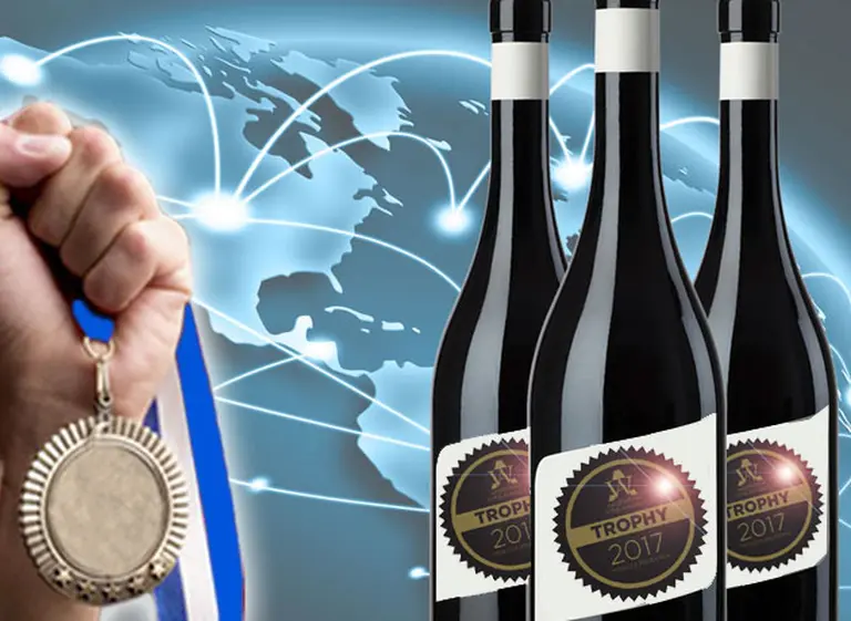 Cinco de los mejores vinos de exportación de Argentina que vale la pena probar