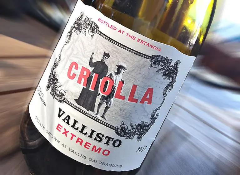 Por qué un ejemplar elaborado con uva Criolla se transformó en uno de los grandes vinos del año
