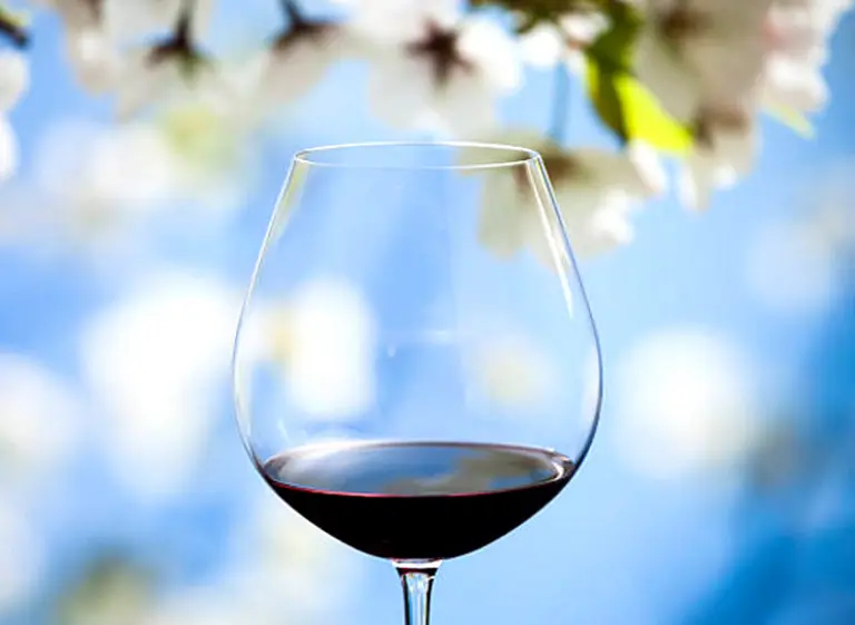 Cinco vinos nuevos y frescos para descorchar con la llegada de la primavera