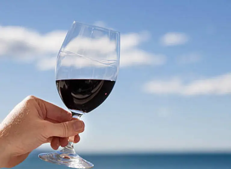 Vinos ideales para el verano: ocho tintos perfectos para disfrutar los dí­as de calor