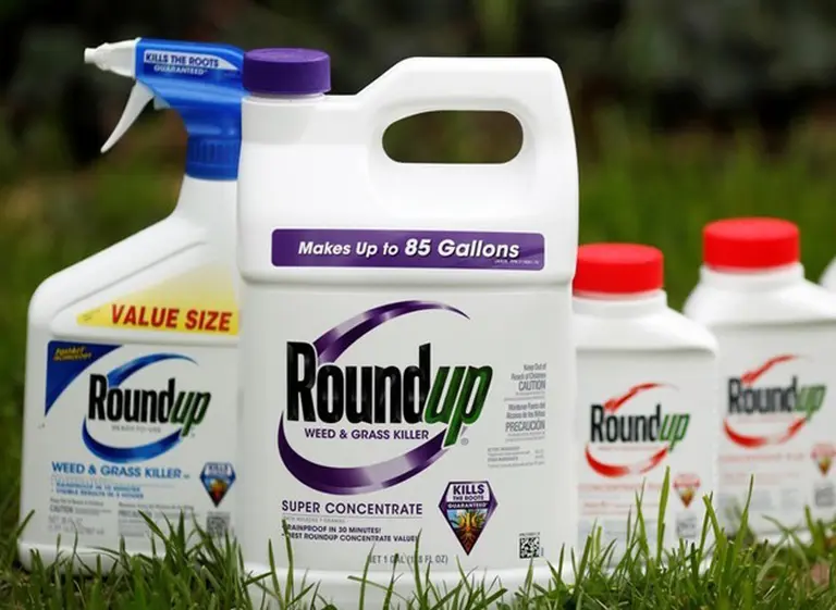 Cada vez más municipios buscan prohibir el uso del glifosato