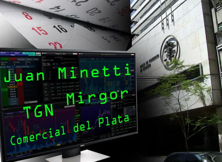Ganancias imparables: acciones lí­deres acumulan subas que llegan hasta 316% en lo que va del año