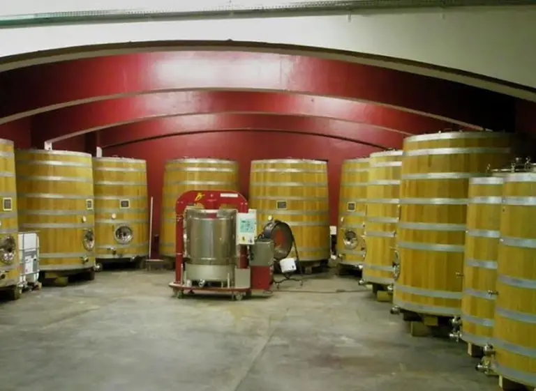 Una de las empresas de tonelerí­a más grandes del mundo tendrá representación en la Argentina