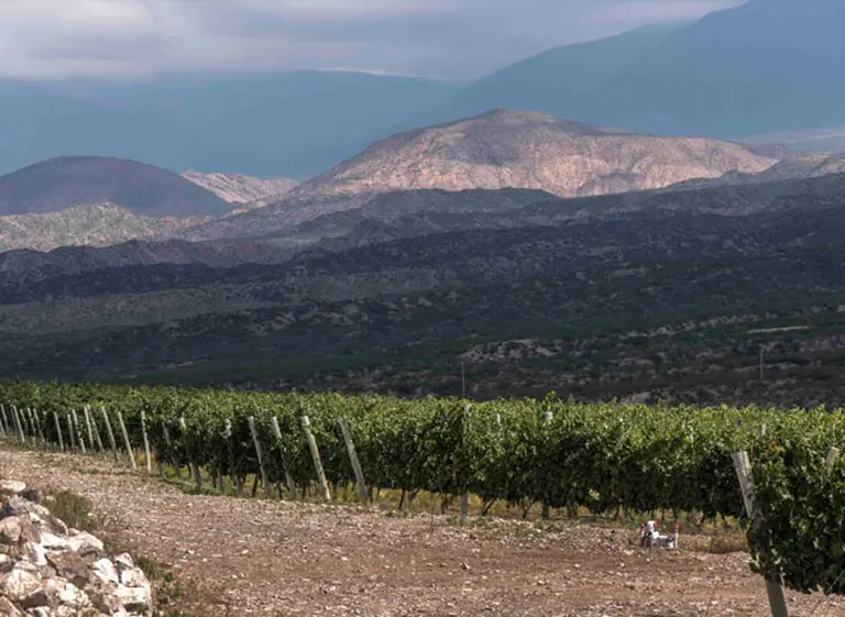 Avanza la "terroirización" en los vinos de San Juan: Bodega Pyros muestra el potencial de Pedernal