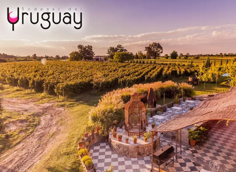 Vinos y relax: ocho bodegas de Carmelo para visitar este fin de semana largo