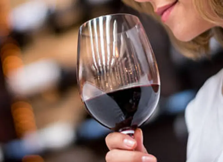 De $100 a más de $1.000: 20 vinos tintos de diferentes precios para obsequiar este Dí­a de la Madre