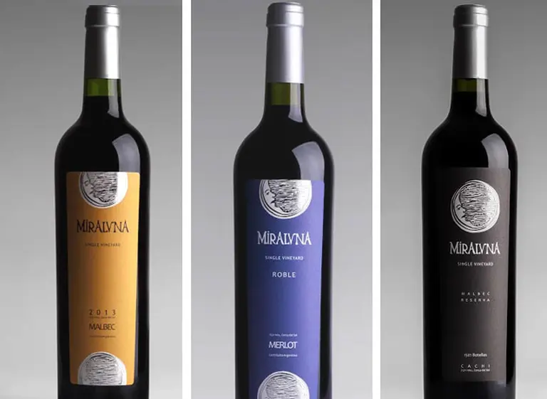 Vinos extremos: por qué una pequeña bodega de Cachi es uno de los secretos mejor guardados de Salta