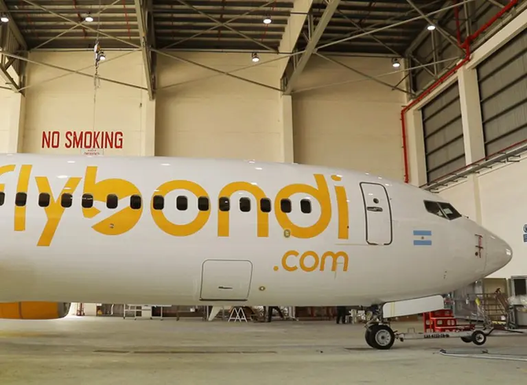 La Justicia suspendió las obras del nuevo aeropuerto en la base aérea de El Palomar