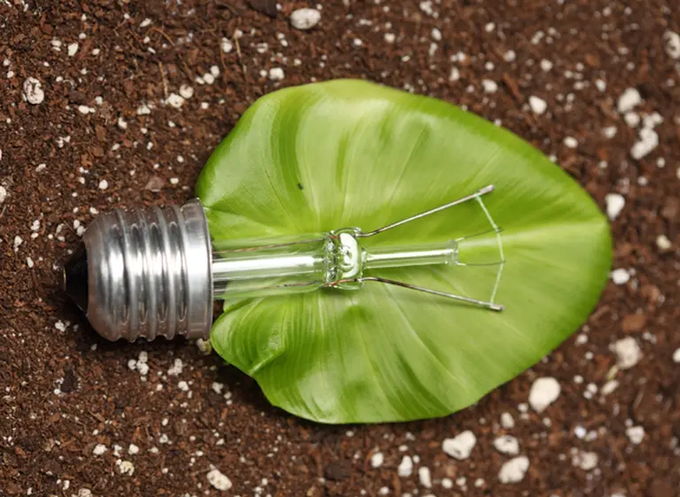 "Energí­a verde": invertirán u$s300 millones en 10 plantas de biomasa