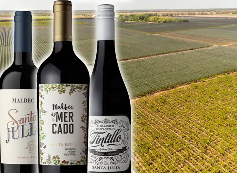 Santa Julia se renueva: la tradicional bodega presenta nuevos vinos y cambio de imagen